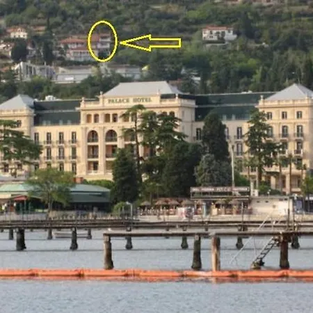 Apartment Tiny Shell House