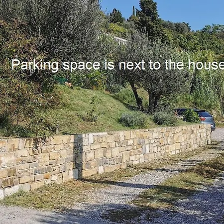 Tiny Shell House Apartment